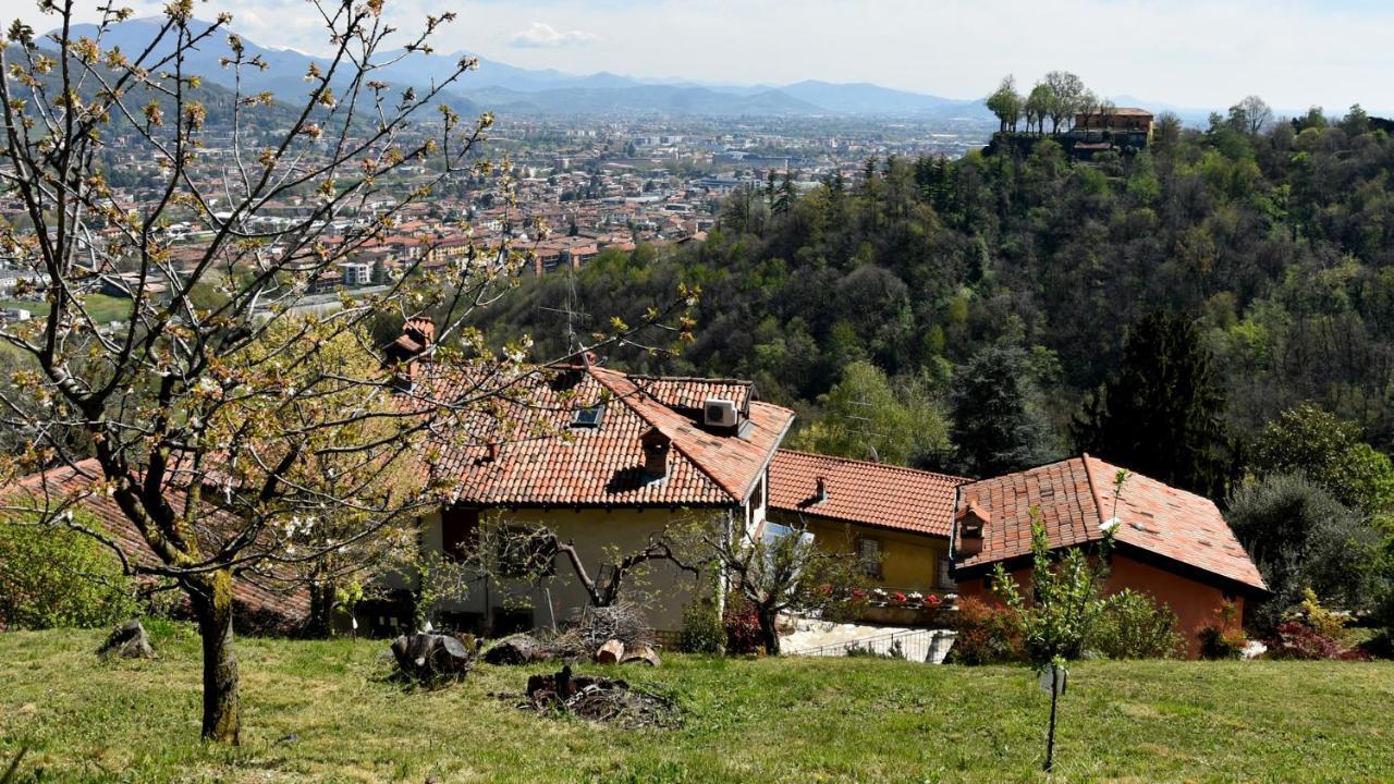 Il Giardino Di Berbech Citta Alta-Ulivo Leilighet Bergamo Eksteriør bilde