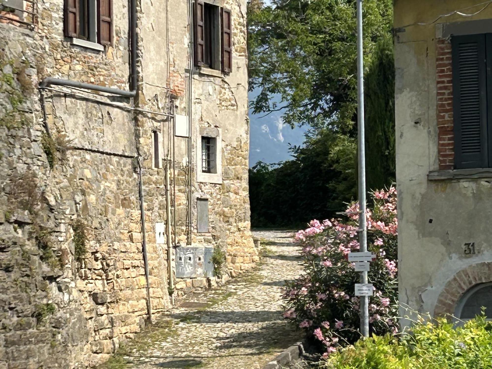 Il Giardino Di Berbech Citta Alta-Ulivo Leilighet Bergamo Eksteriør bilde